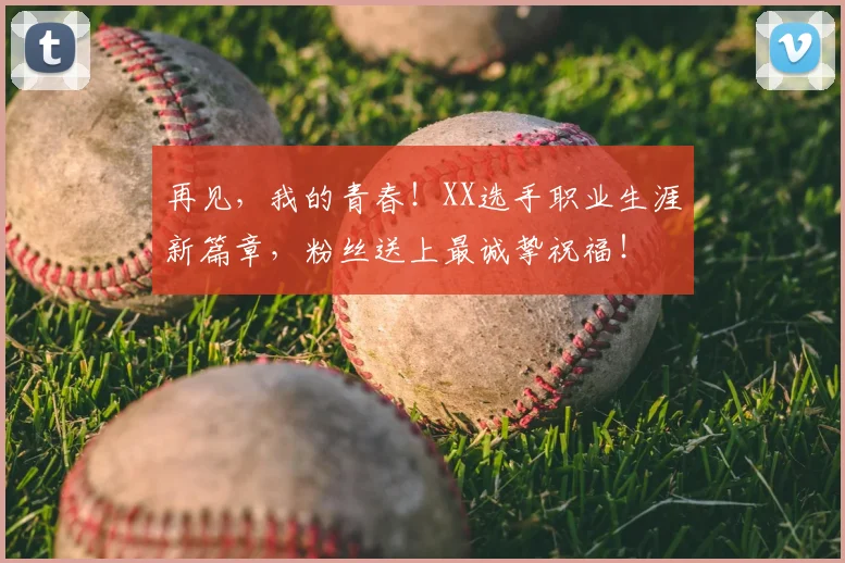 再见,我的青春!XX选手职业生涯新篇章,粉丝送上最诚挚祝福!